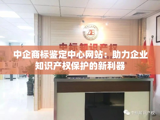 中企商标鉴定中心网站：助力企业知识产权保护的新利器