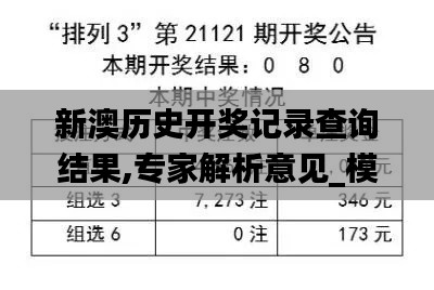 新澳历史开奖记录查询结果,专家解析意见_模拟版19.979