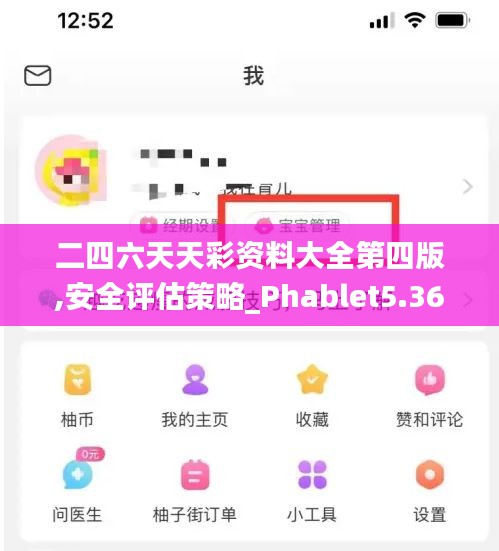 二四六天天彩资料大全第四版,安全评估策略_Phablet5.369