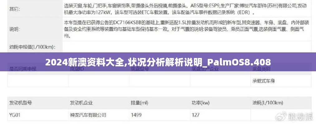 2024新澳资料大全,状况分析解析说明_PalmOS8.408