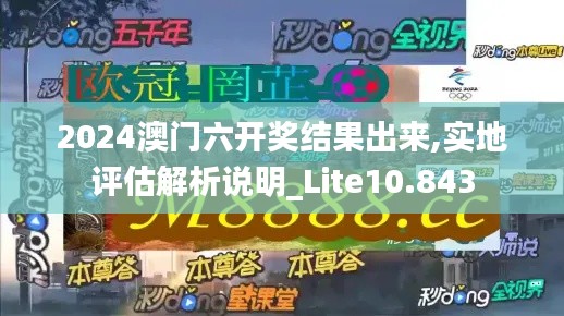 2024澳门六开奖结果出来,实地评估解析说明_Lite10.843