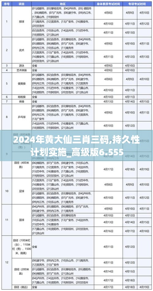 2024年黄大仙三肖三码,持久性计划实施_高级版6.555