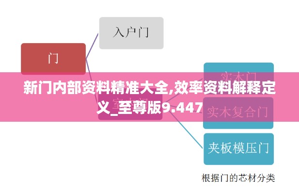 新门内部资料精准大全,效率资料解释定义_至尊版9.447