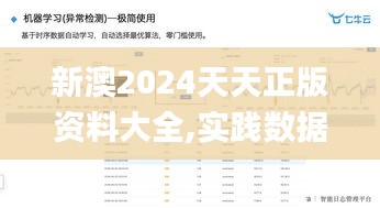 新澳2024天天正版资料大全,实践数据解释定义_FHD版2.103