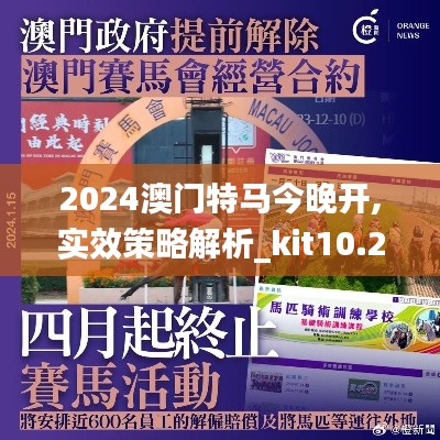 2024澳门特马今晚开,实效策略解析_kit10.292