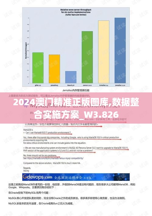 2024澳门精准正版图库,数据整合实施方案_W3.826