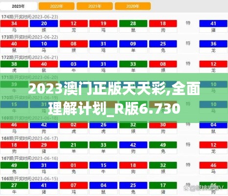 2023澳门正版天天彩,全面理解计划_R版6.730