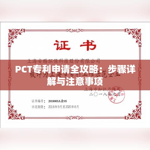 PCT专利申请全攻略：步骤详解与注意事项