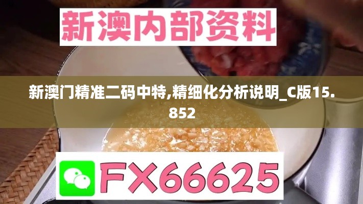 新澳门精准二码中特,精细化分析说明_C版15.852