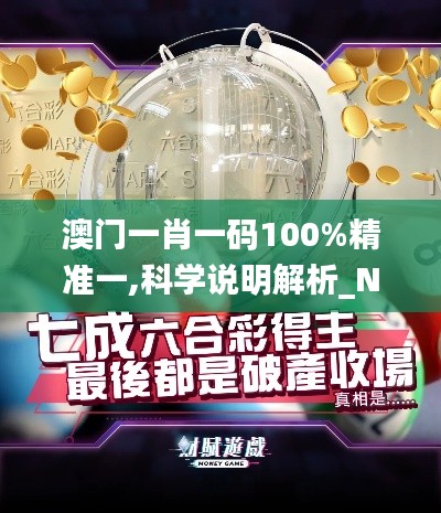 澳门一肖一码100%精准一,科学说明解析_N版4.178