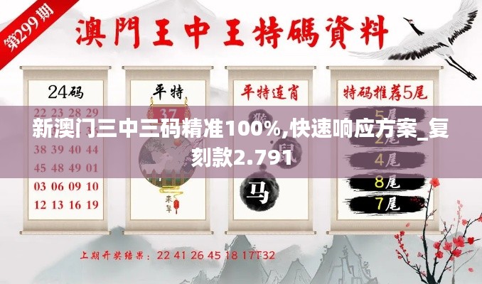 新澳门三中三码精准100%,快速响应方案_复刻款2.791