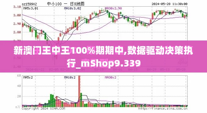 新澳门王中王100%期期中,数据驱动决策执行_mShop9.339