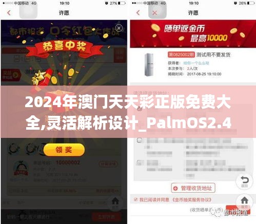 2024年澳门天天彩正版免费大全,灵活解析设计_PalmOS2.477