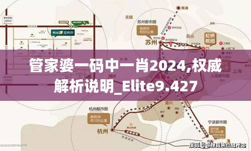 管家婆一码中一肖2024,权威解析说明_Elite9.427