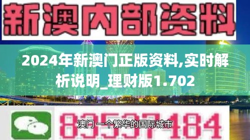 2024年新澳门正版资料,实时解析说明_理财版1.702