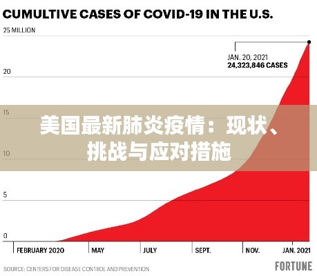 美国最新肺炎疫情：现状、挑战与应对措施