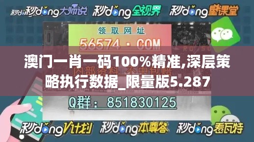 澳门一肖一码100%精准,深层策略执行数据_限量版5.287