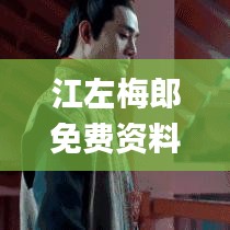 江左梅郎免费资料大全,资源整合实施_标配版7.450