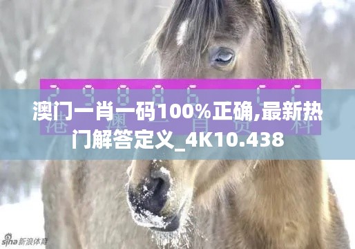 澳门一肖一码100%正确,最新热门解答定义_4K10.438