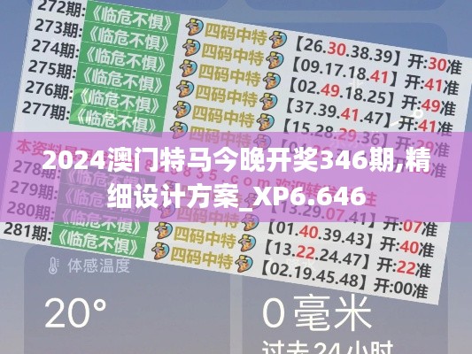 2024澳门特马今晚开奖346期,精细设计方案_XP6.646