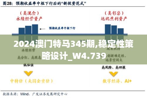 2024澳门特马345期,稳定性策略设计_W4.739