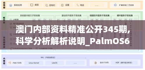 澳门内部资料精准公开345期,科学分析解析说明_PalmOS6.105