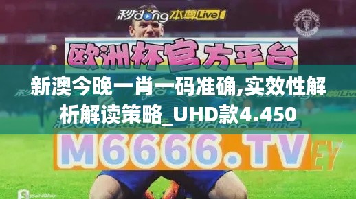 新澳今晚一肖一码准确,实效性解析解读策略_UHD款4.450