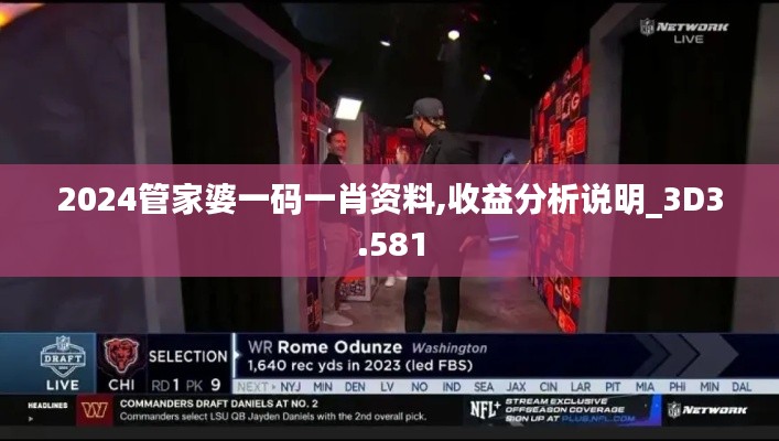 2024管家婆一码一肖资料,收益分析说明_3D3.581