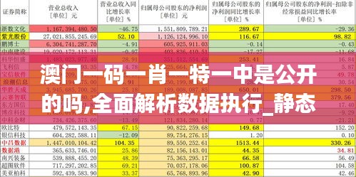 澳门一码一肖一特一中是公开的吗,全面解析数据执行_静态版110.319