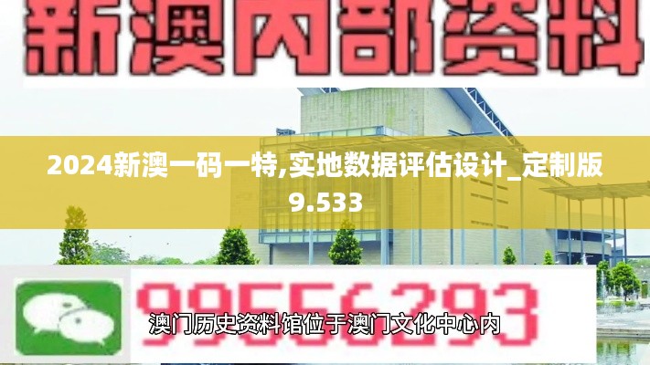 2024新澳一码一特,实地数据评估设计_定制版9.533