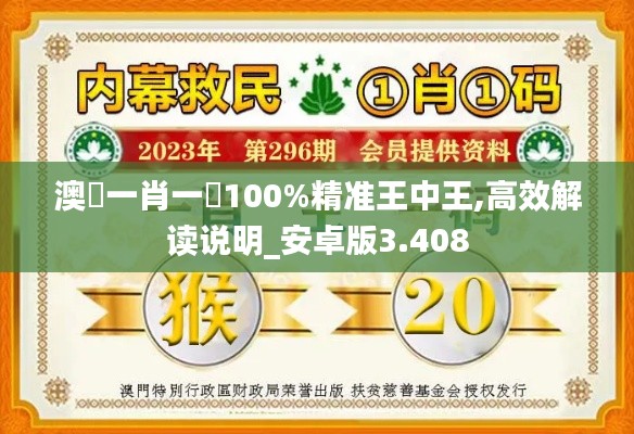 澳門一肖一碼100%精准王中王,高效解读说明_安卓版3.408