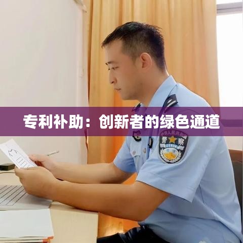 专利补助：创新者的绿色通道