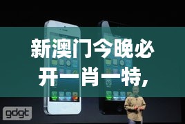 新澳门今晚必开一肖一特,综合解答解释定义_iPhone9.625