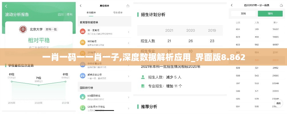 一肖一码一一肖一子,深度数据解析应用_界面版8.862