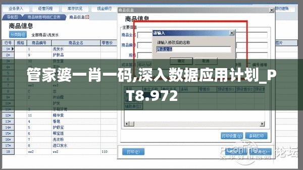 管家婆一肖一码,深入数据应用计划_PT8.972