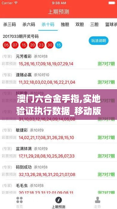 澳门六合金手指,实地验证执行数据_移动版11.923