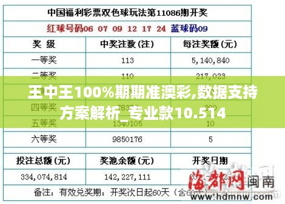 王中王100%期期准澳彩,数据支持方案解析_专业款10.514