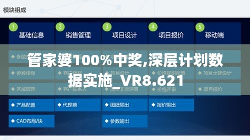 管家婆100%中奖,深层计划数据实施_VR8.621