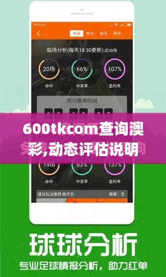 600tkcom查询澳彩,动态评估说明_XT9.256