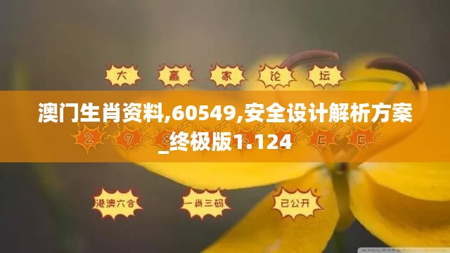 澳门生肖资料,60549,安全设计解析方案_终极版1.124