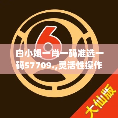 白小姐一肖一码准选一码57709.,灵活性操作方案_进阶版16.182