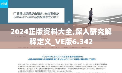 2024正版资料大全,深入研究解释定义_VE版6.342