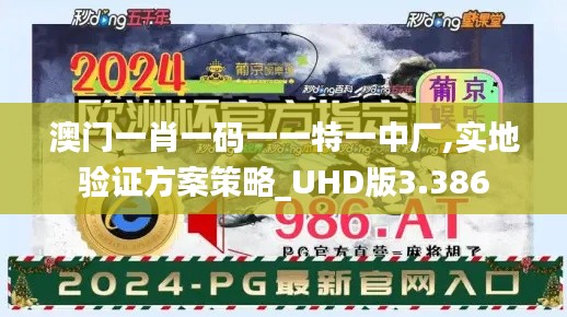 澳门一肖一码一一特一中厂,实地验证方案策略_UHD版3.386