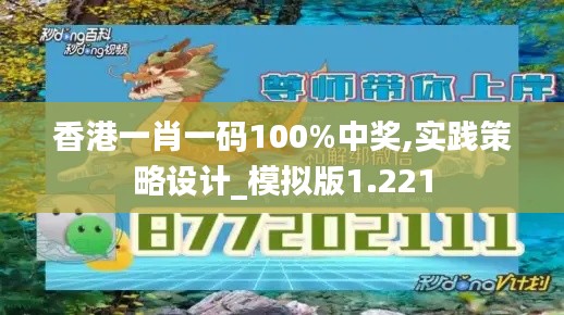 香港一肖一码100%中奖,实践策略设计_模拟版1.221