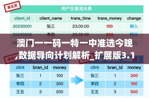 澳门一一码一特一中准选今晚,数据导向计划解析_扩展版3.132