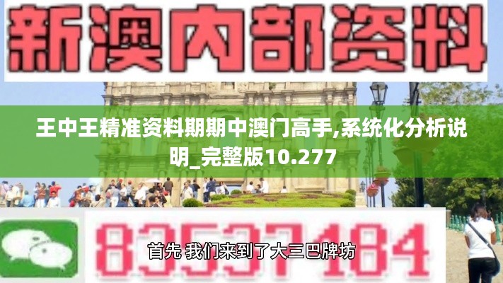 王中王精准资料期期中澳门高手,系统化分析说明_完整版10.277