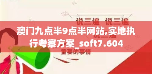 澳门九点半9点半网站,实地执行考察方案_soft7.604