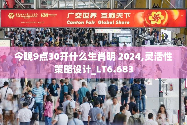 今晚9点30开什么生肖明 2024,灵活性策略设计_LT6.683