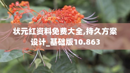 状元红资料免费大全,持久方案设计_基础版10.863