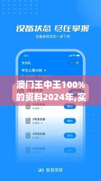 澳门王中王100%的资料2024年,实地分析数据设计_轻量版1.173